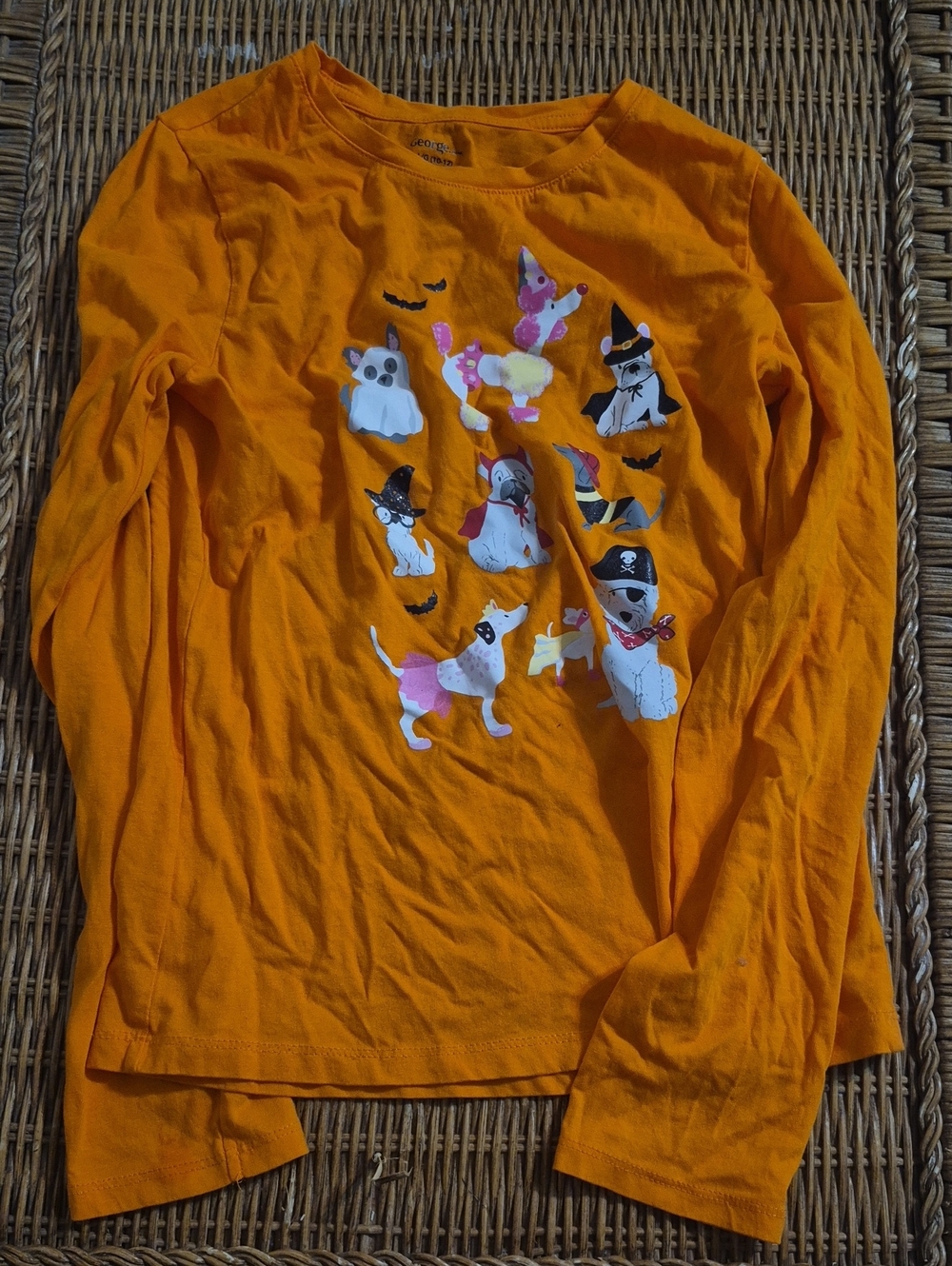 Orange Long Sleeve Tee with Halloween Dog Print